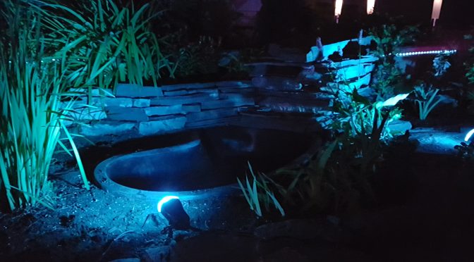 blue lights highlight an outdoor pond in a northwest Calgary backyard